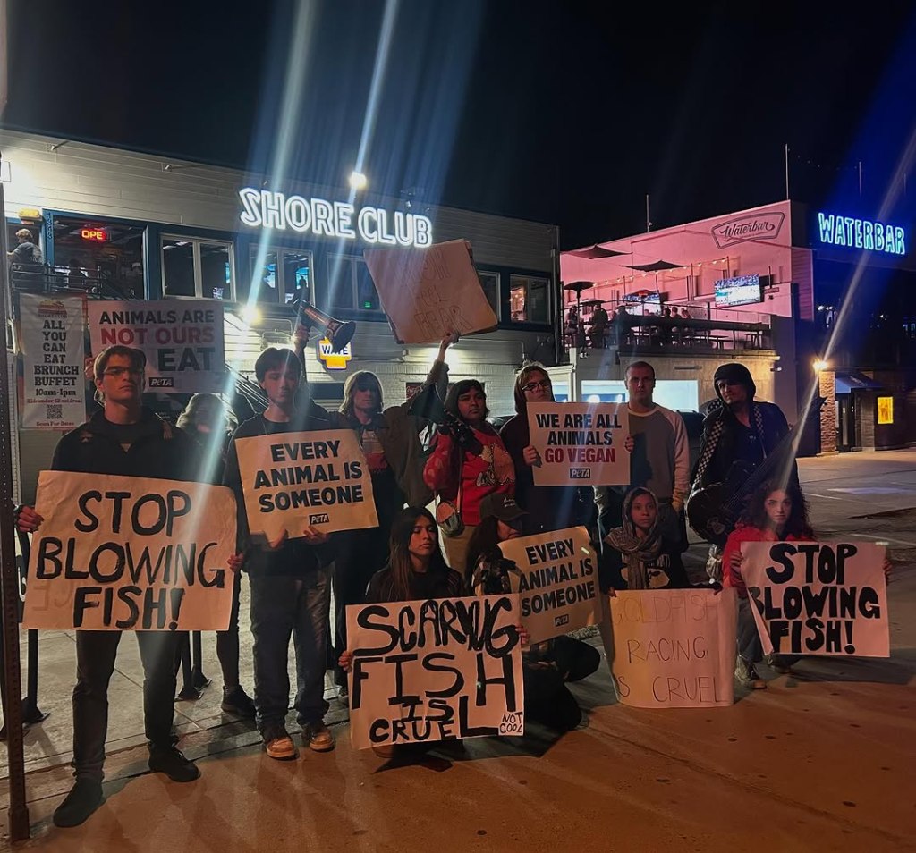 PB Shore Club’s fishy&nbsp;practice